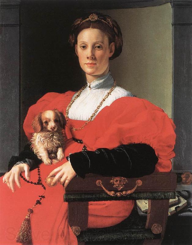 BRONZINO, Agnolo Portrait of a Lady with a Puppy f Norge oil painting art